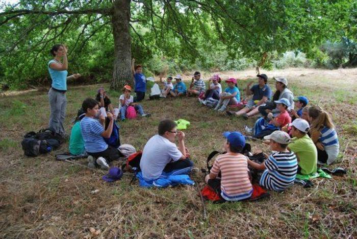 Quercus Sonora protege la flora autóctona gallega a través de la música
