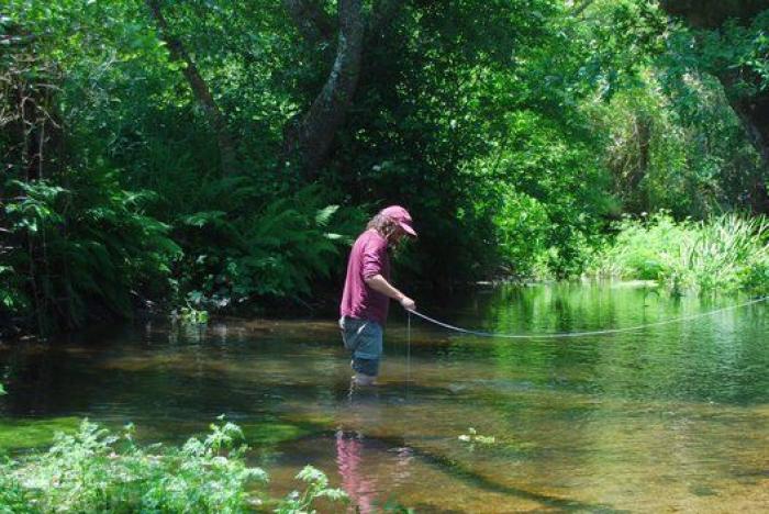 Quercus Sonora protege la flora autóctona gallega a través de la música