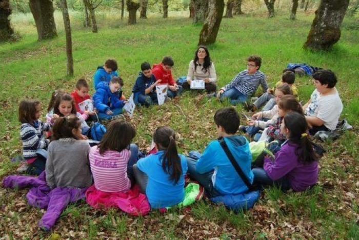 Quercus Sonora protege la flora autóctona gallega a través de la música