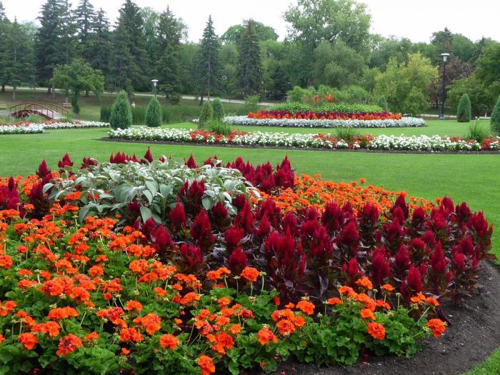 Los 25 destinos a descubrir en 2021, según TripAdvisor