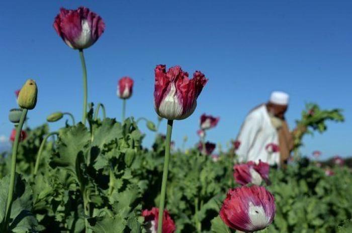Las fotos más impresionantes del lunes