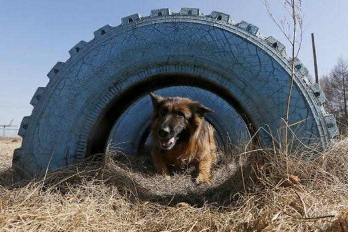 Las fotos más impresionantes del lunes