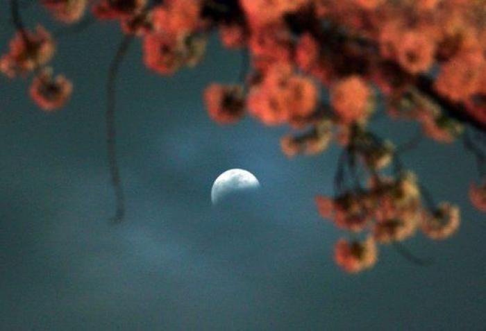 Las impresionantes imágenes de la 'luna de sangre' (FOTOS)