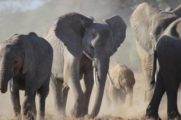 Nueve destinos a los que viajar según la edad que tengas (FOTOS)