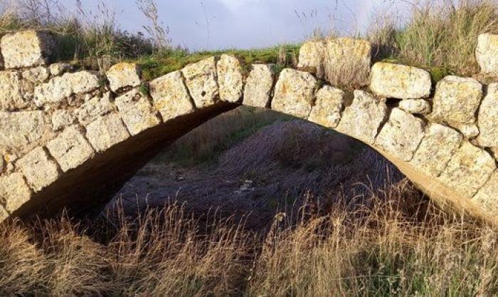 Movimientos populares se rebelan en defensa del patrimonio cultural: "La sociedad ha despertado"