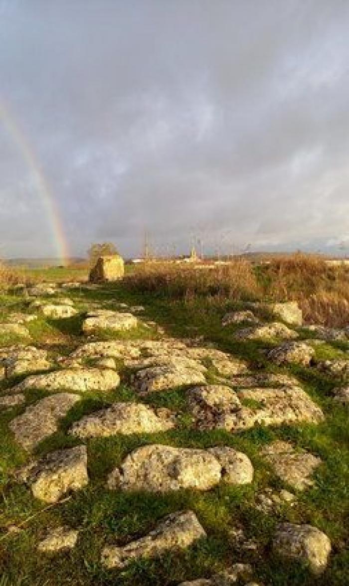 Movimientos populares se rebelan en defensa del patrimonio cultural: "La sociedad ha despertado"