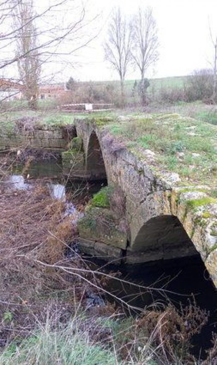 Movimientos populares se rebelan en defensa del patrimonio cultural: "La sociedad ha despertado"