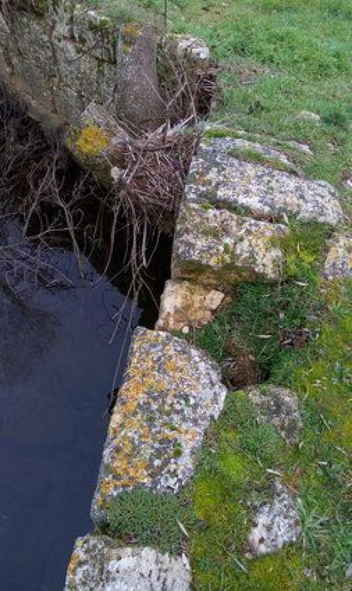 Movimientos populares se rebelan en defensa del patrimonio cultural: "La sociedad ha despertado"