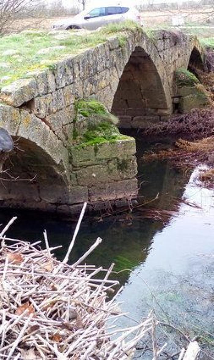 Movimientos populares se rebelan en defensa del patrimonio cultural: "La sociedad ha despertado"