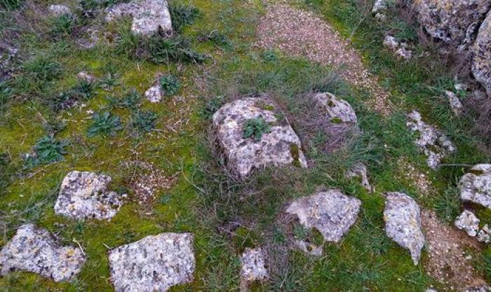 Movimientos populares se rebelan en defensa del patrimonio cultural: "La sociedad ha despertado"