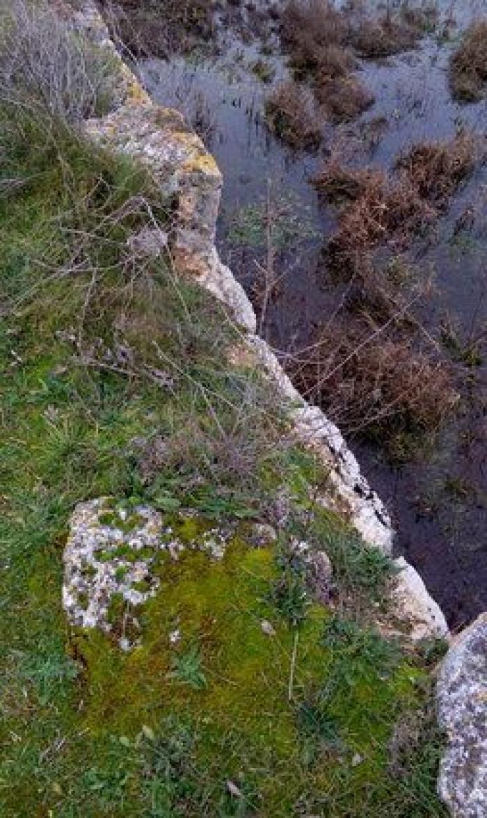 Movimientos populares se rebelan en defensa del patrimonio cultural: "La sociedad ha despertado"