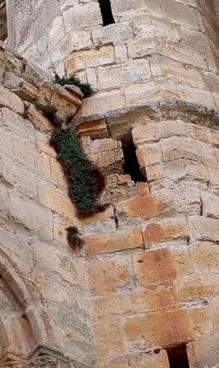 Movimientos populares se rebelan en defensa del patrimonio cultural: "La sociedad ha despertado"