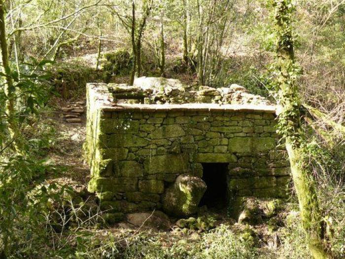 Movimientos populares se rebelan en defensa del patrimonio cultural: "La sociedad ha despertado"