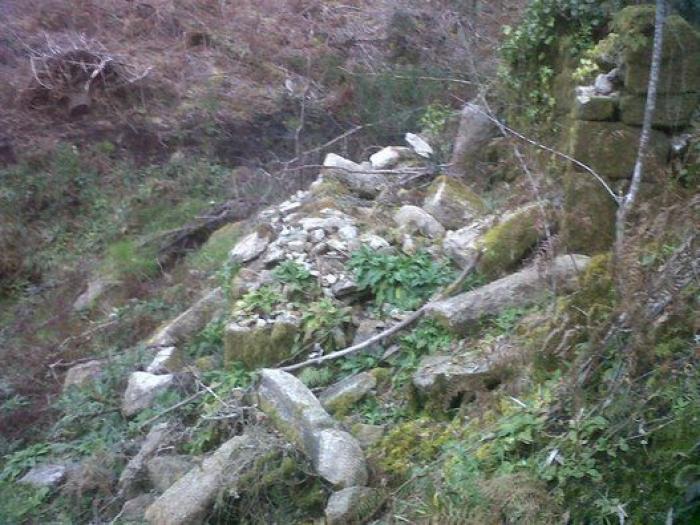 Movimientos populares se rebelan en defensa del patrimonio cultural: "La sociedad ha despertado"