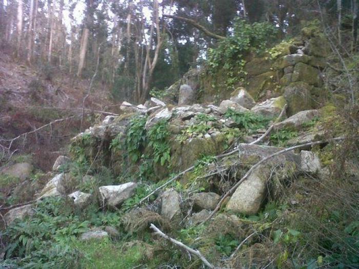 Movimientos populares se rebelan en defensa del patrimonio cultural: "La sociedad ha despertado"