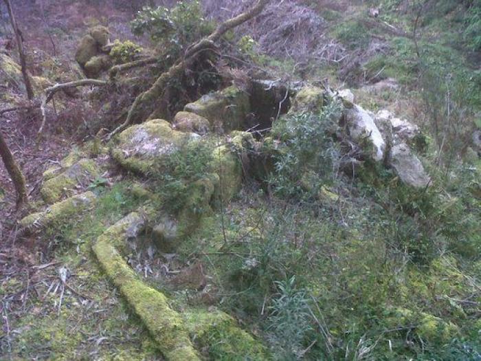 Movimientos populares se rebelan en defensa del patrimonio cultural: "La sociedad ha despertado"