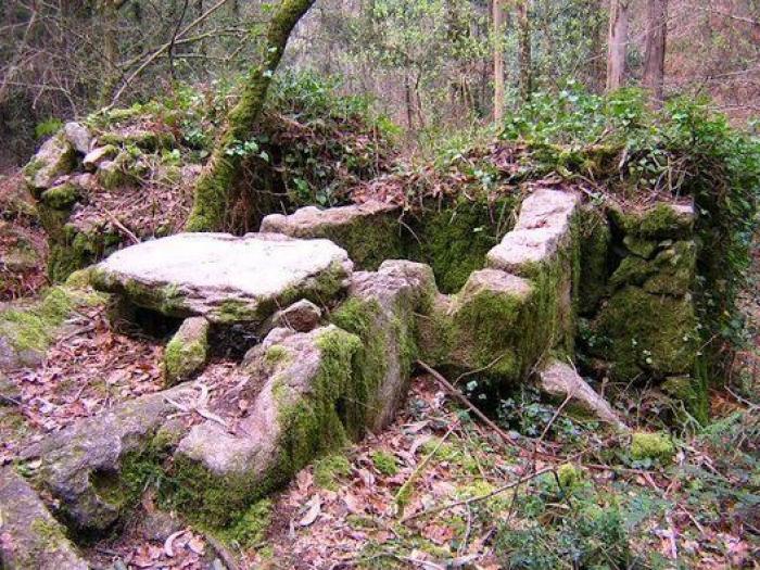 Movimientos populares se rebelan en defensa del patrimonio cultural: "La sociedad ha despertado"