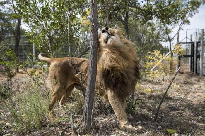 Estas 52 impresionantes fotos de todo el mundo resumen 2016 a la perfección