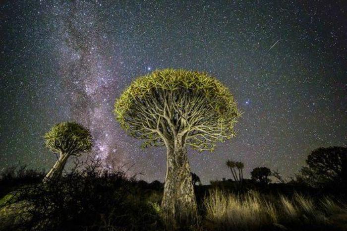 Descubren un 'fantasma' estelar, el primer agujero negro que flota libremente