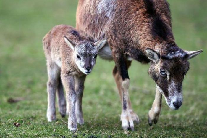 Niños de ocho años haciendo acrobacias y otras fotos del miércoles