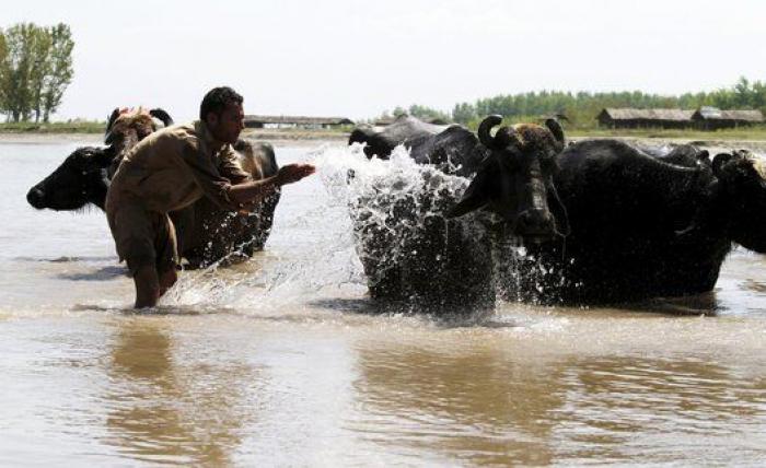 Niños de ocho años haciendo acrobacias y otras fotos del miércoles