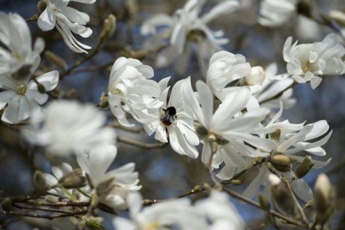 Niños de ocho años haciendo acrobacias y otras fotos del miércoles