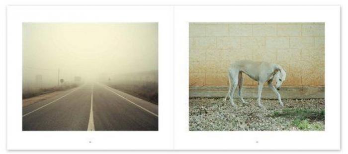 El vídeo de estos dos perros te partirá el corazón