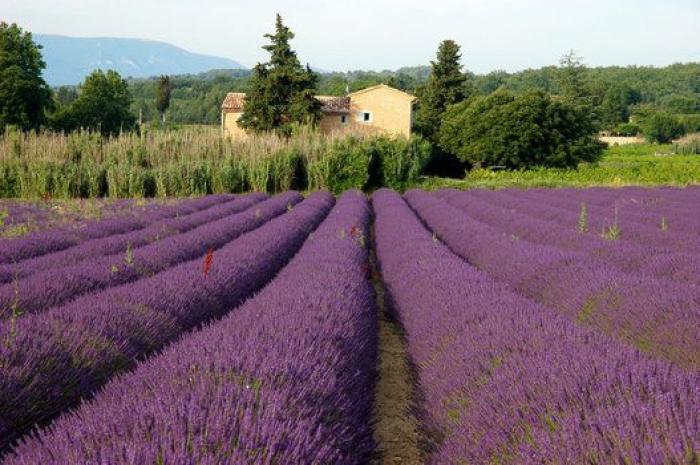 Ocho impactantes paisajes que te harán ver el mundo con otros ojos