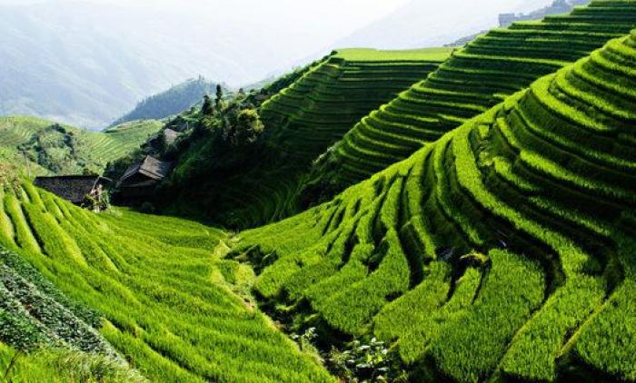 Ocho impactantes paisajes que te harán ver el mundo con otros ojos