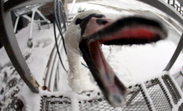 Las fotos de la ola de frío en Europa