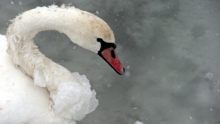 Las fotos de la ola de frío en Europa