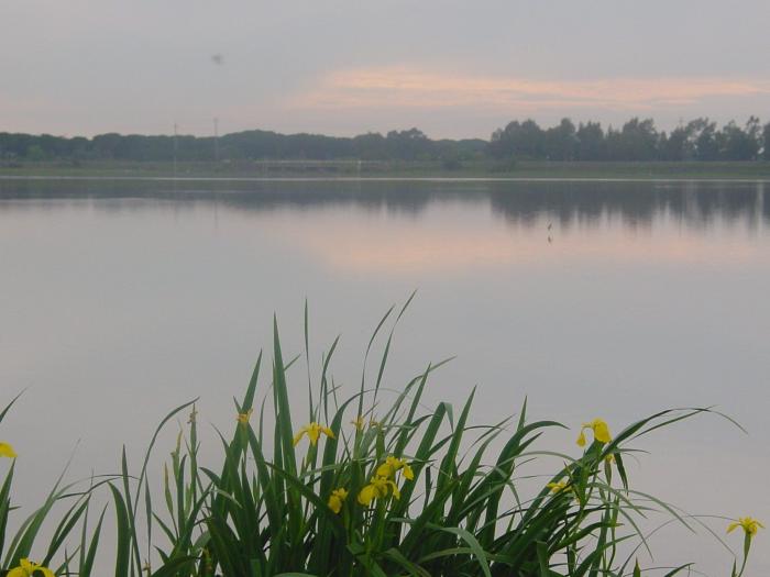 'The Economist' se fija (para mal) en esta localidad española