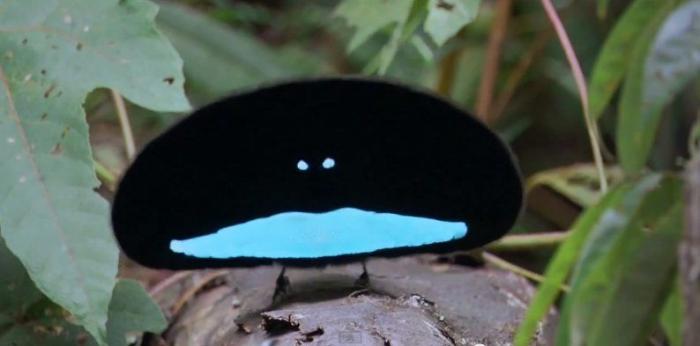 La Organización Meteorológica Mundial descubre tres nuevos tipos de nubes creadas por el hombre