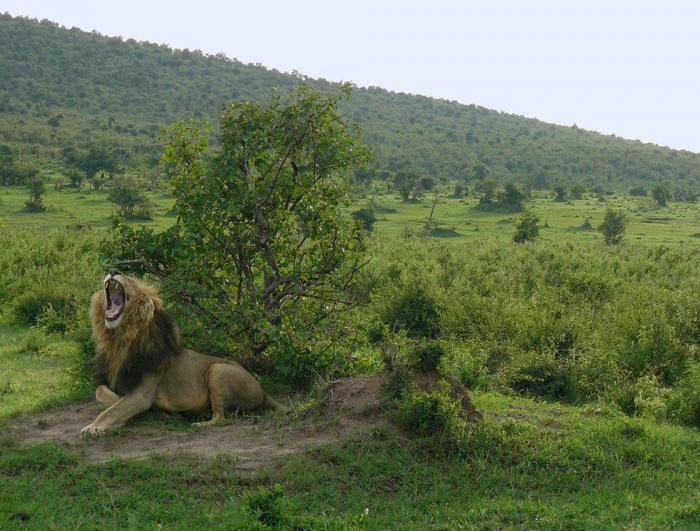 Tesoros naturales del mundo que te dejarán con la boca abierta