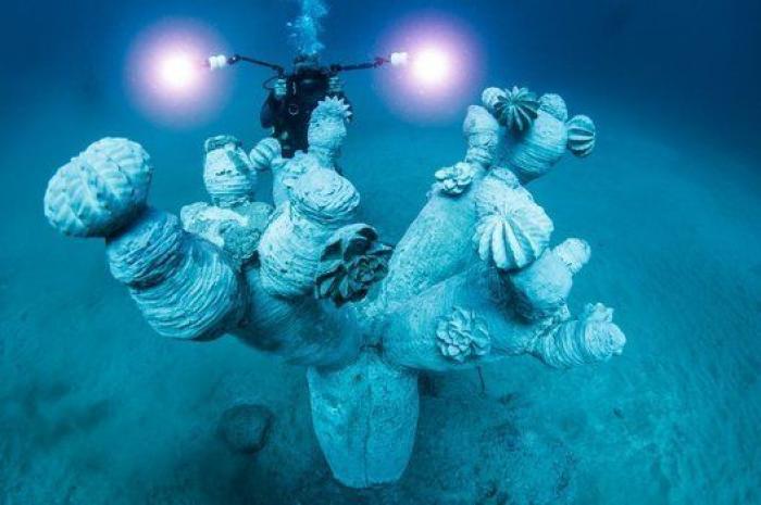Un grupo de turistas indigna al bañarse en los Jameos del Agua (Lanzarote), un lugar protegido