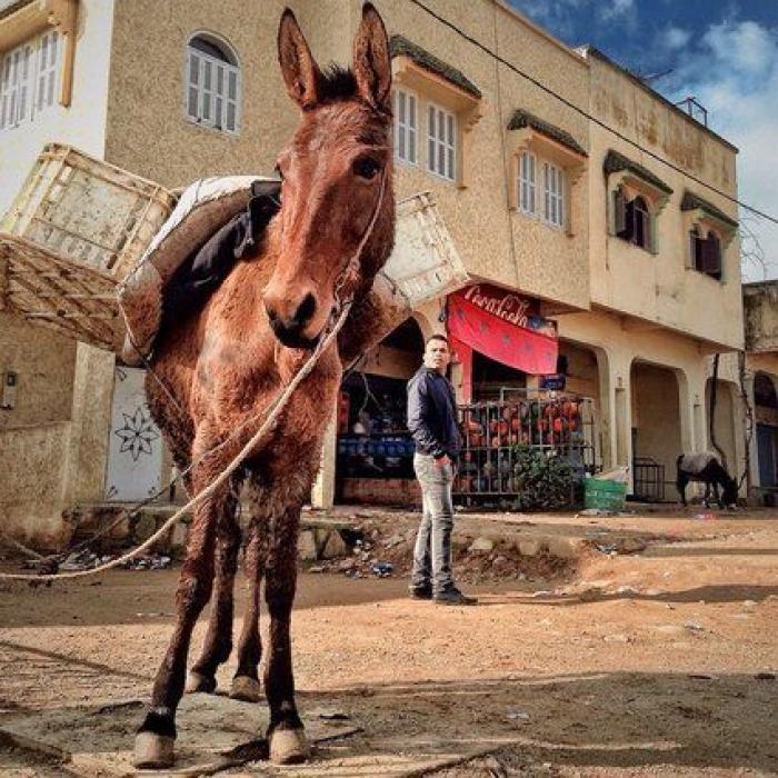 Un paseo por el Tánger del esplendor de 'Sira', de María Dueñas