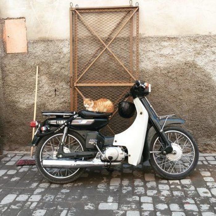 Un paseo por el Tánger del esplendor de 'Sira', de María Dueñas