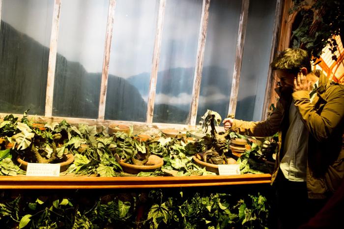 El precioso gesto de Daniel Radcliffe (Harry Potter) con una niña con leucemia