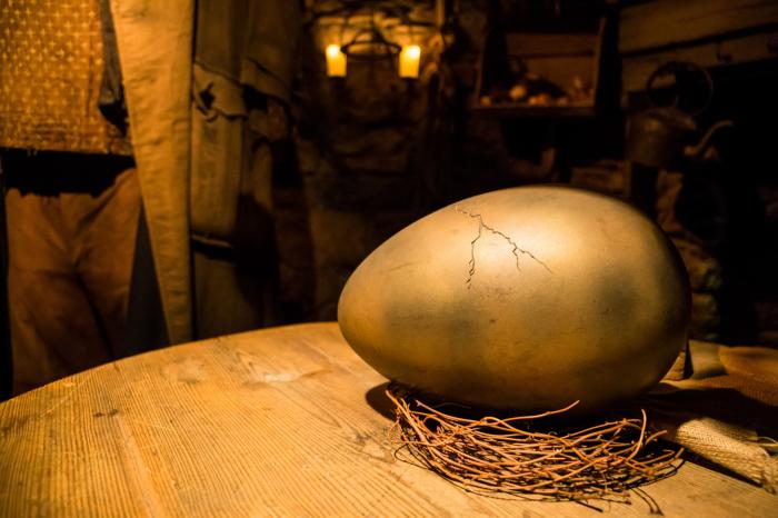 El precioso gesto de Daniel Radcliffe (Harry Potter) con una niña con leucemia