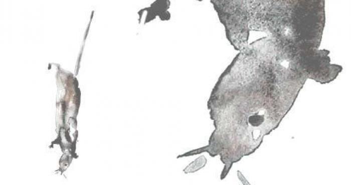 Gachas, duelos y quebrantos o gato asado: lo que comían Don Quijote y Sancho Panza