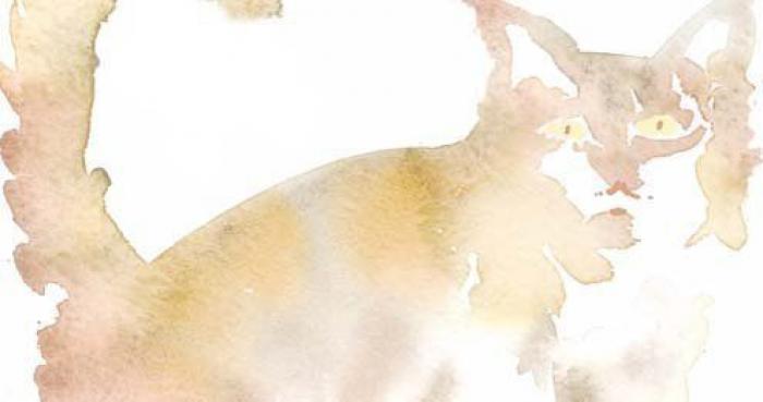 Gachas, duelos y quebrantos o gato asado: lo que comían Don Quijote y Sancho Panza