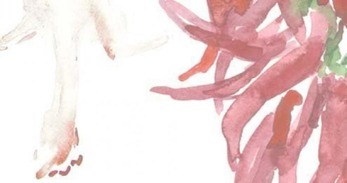 Gachas, duelos y quebrantos o gato asado: lo que comían Don Quijote y Sancho Panza