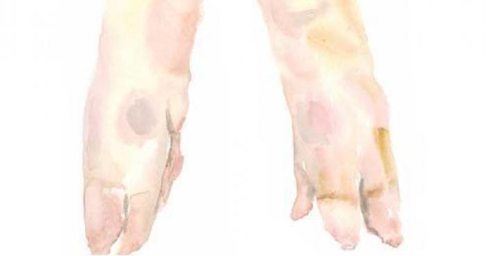 Gachas, duelos y quebrantos o gato asado: lo que comían Don Quijote y Sancho Panza