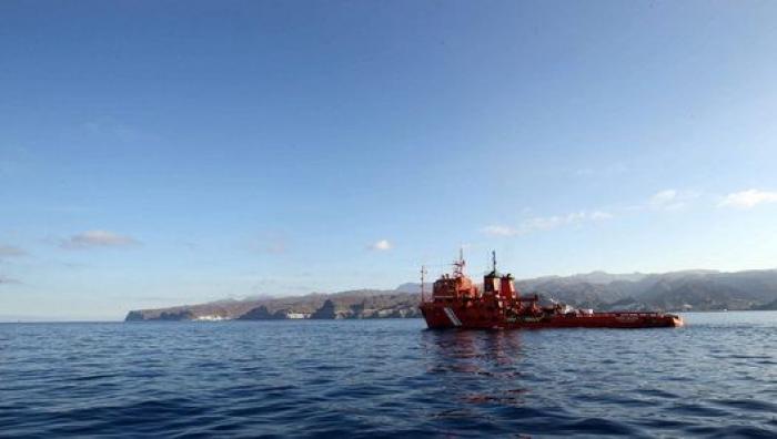 Avistan cerca de Gran Canaria el primer delfín manchado de petróleo