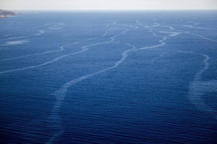 Avistan cerca de Gran Canaria el primer delfín manchado de petróleo