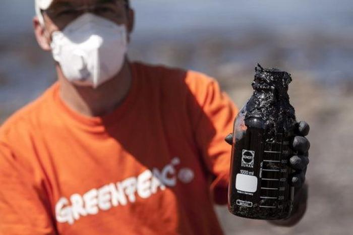 Avistan cerca de Gran Canaria el primer delfín manchado de petróleo