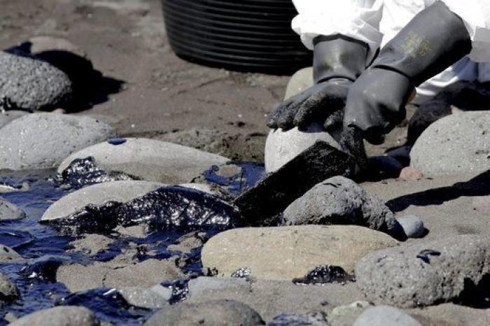 Avistan cerca de Gran Canaria el primer delfín manchado de petróleo