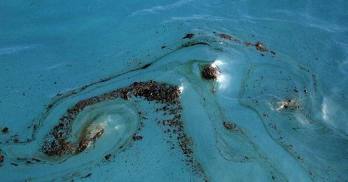 Avistan cerca de Gran Canaria el primer delfín manchado de petróleo