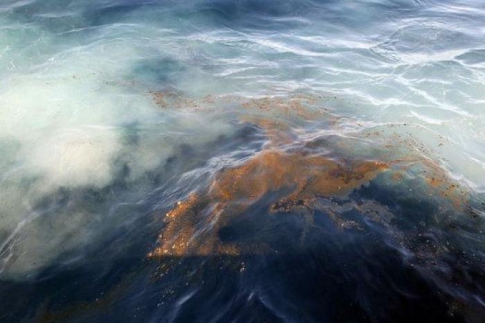 Avistan cerca de Gran Canaria el primer delfín manchado de petróleo