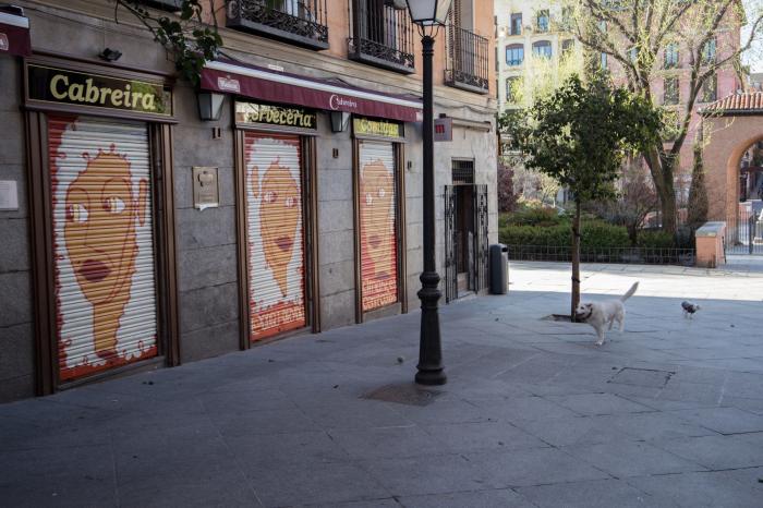 Calles llenas de arte: Pinta Malasaña vuelve a inundar de grafitis el barrio madrileño